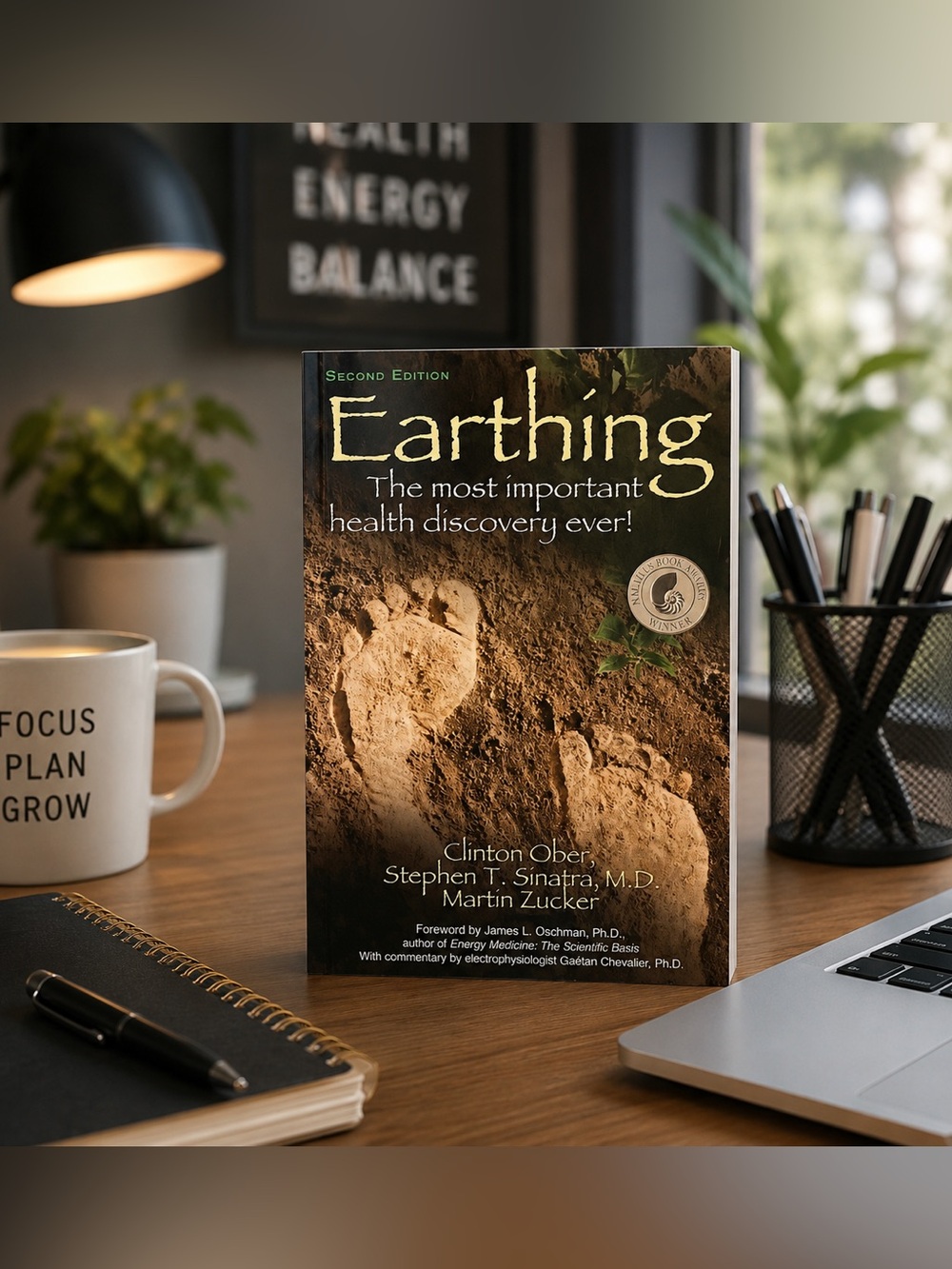 Earthing Book | Grounding Healing Energy Guide | Holistic Health Paperback